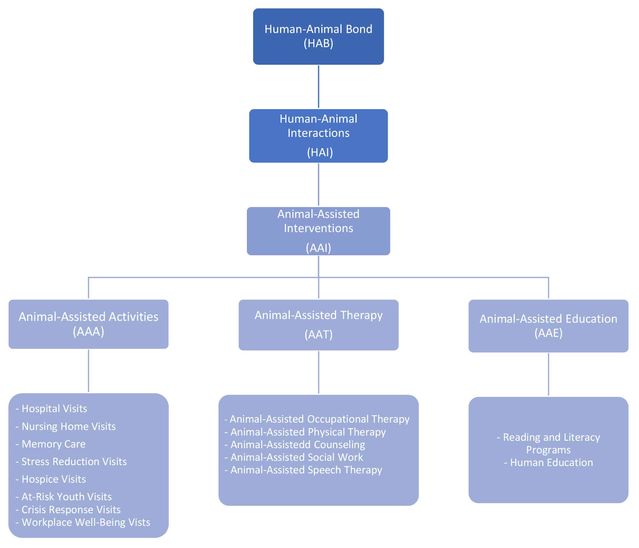 Beginner S Guide To Animal Assisted Intervention Terminology Pet Partners