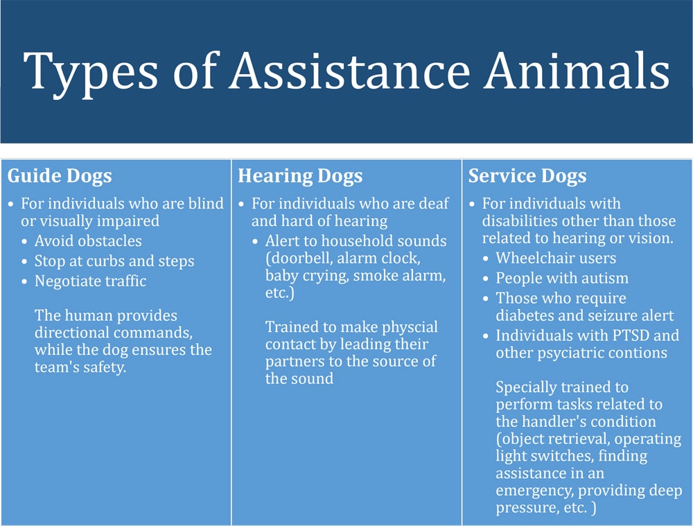 types of assistance animals