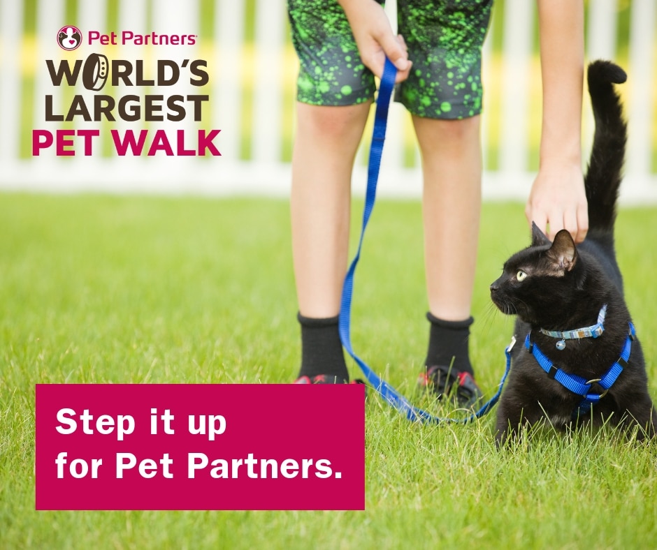 "Step it up for Pet Partners" Person and cat on leash