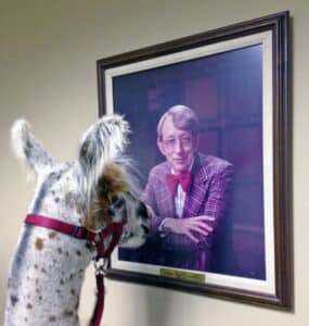 An alpaca touches a photo of Dr. Leo Bustad with its nose.