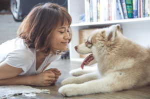 A smiling woman giving attention to a husky puppy