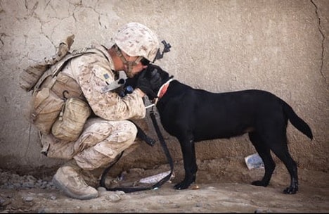 A soldier in combat gear kissing the head of a dog