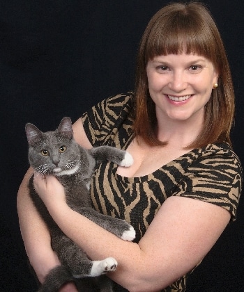 A gray tuxedo cat held by his smiling handler