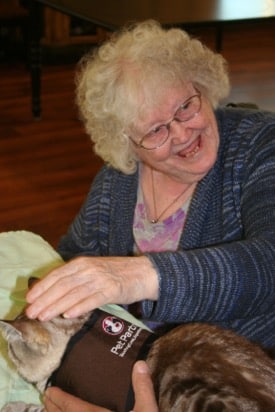 A smiling senior woman pets a therapy cat