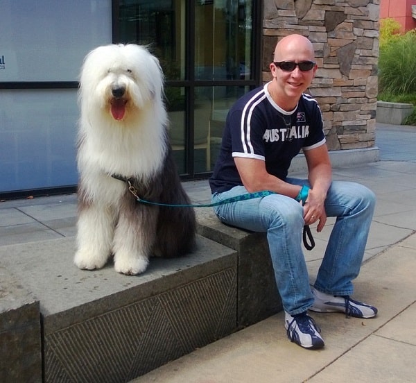 An old English sheepdog and a man sitting on a step outside a building