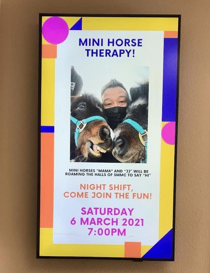 A digital readerboard inviting night shift staff to visit with the therapy mini horses