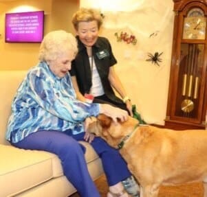A senior woman sitting on a couch pets a therapy dog while the handler watches