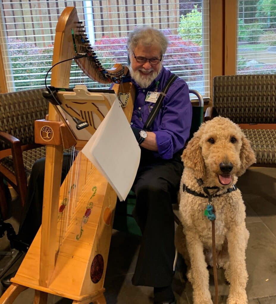 A goldendoodle therapy dog sits with a volunteer harpist at a hospice facility while the harpist plays