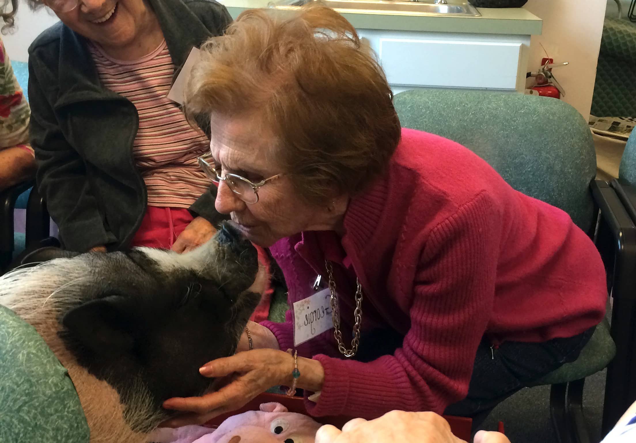 A woman leans in to kiss a therapy pig.