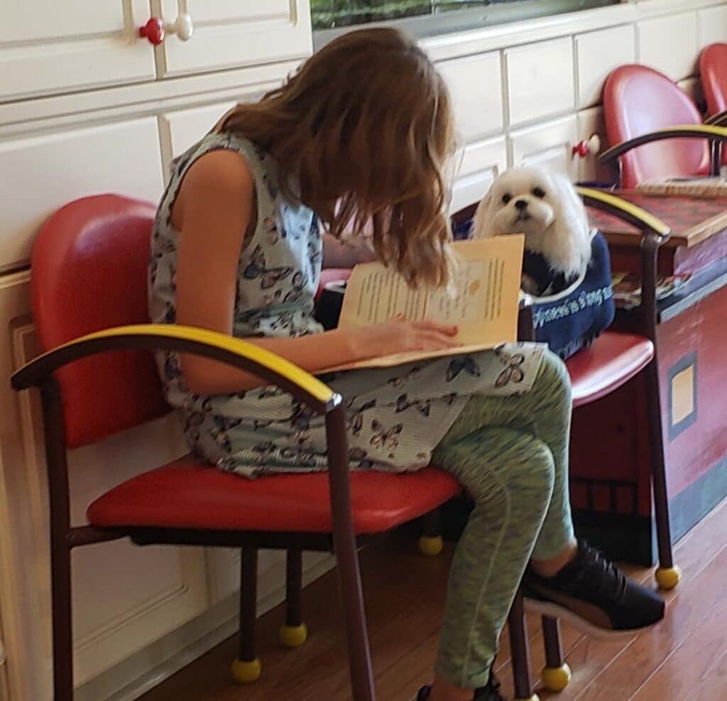 A young person reads a book to a Maltese therapy dog sitting beside them