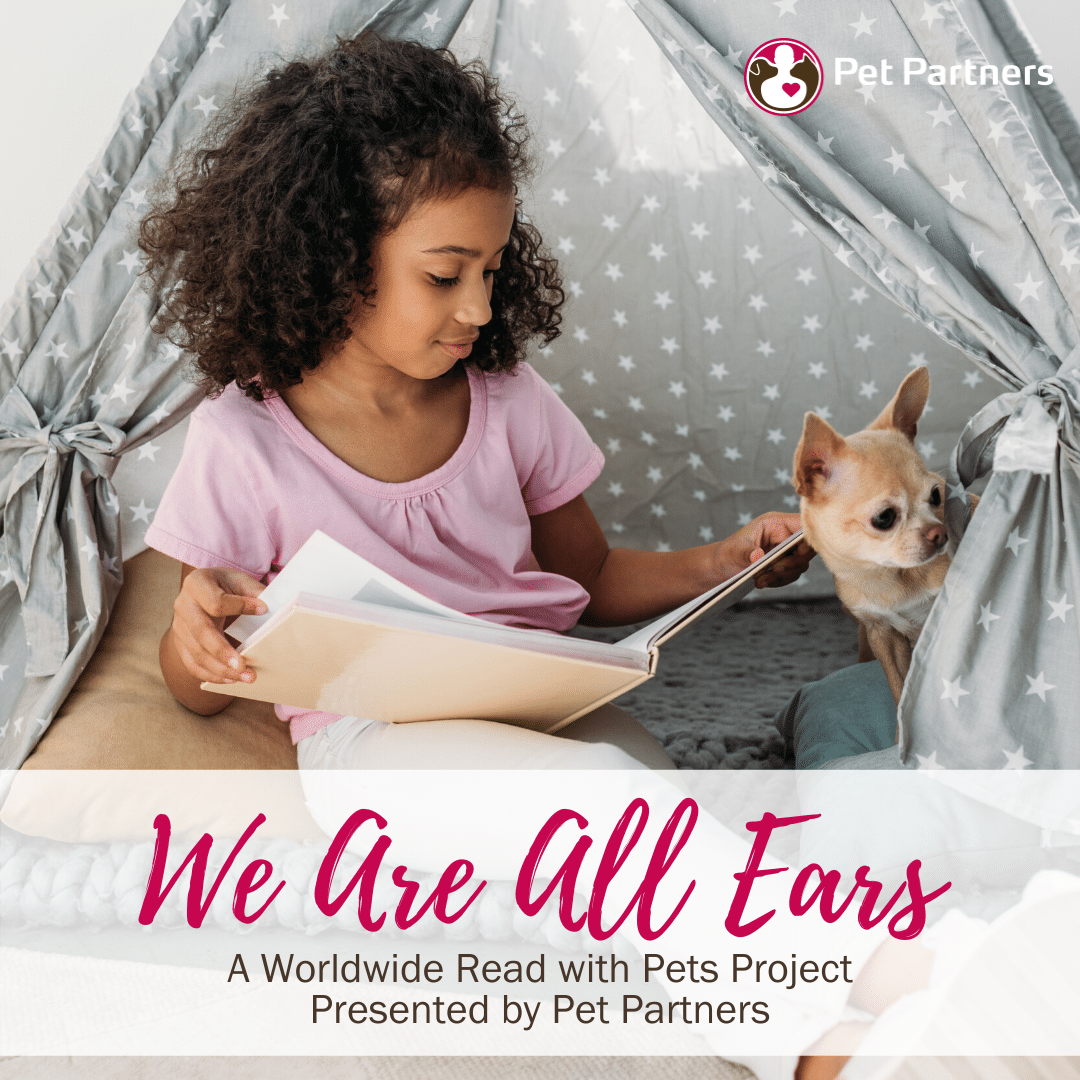A young girl in a tent reads a book with a chihuahua