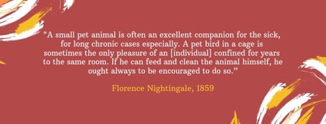 Florence Nightingale quote | Pet Partners