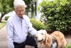 Dr. Bill Mc Culloch | Pet Partners