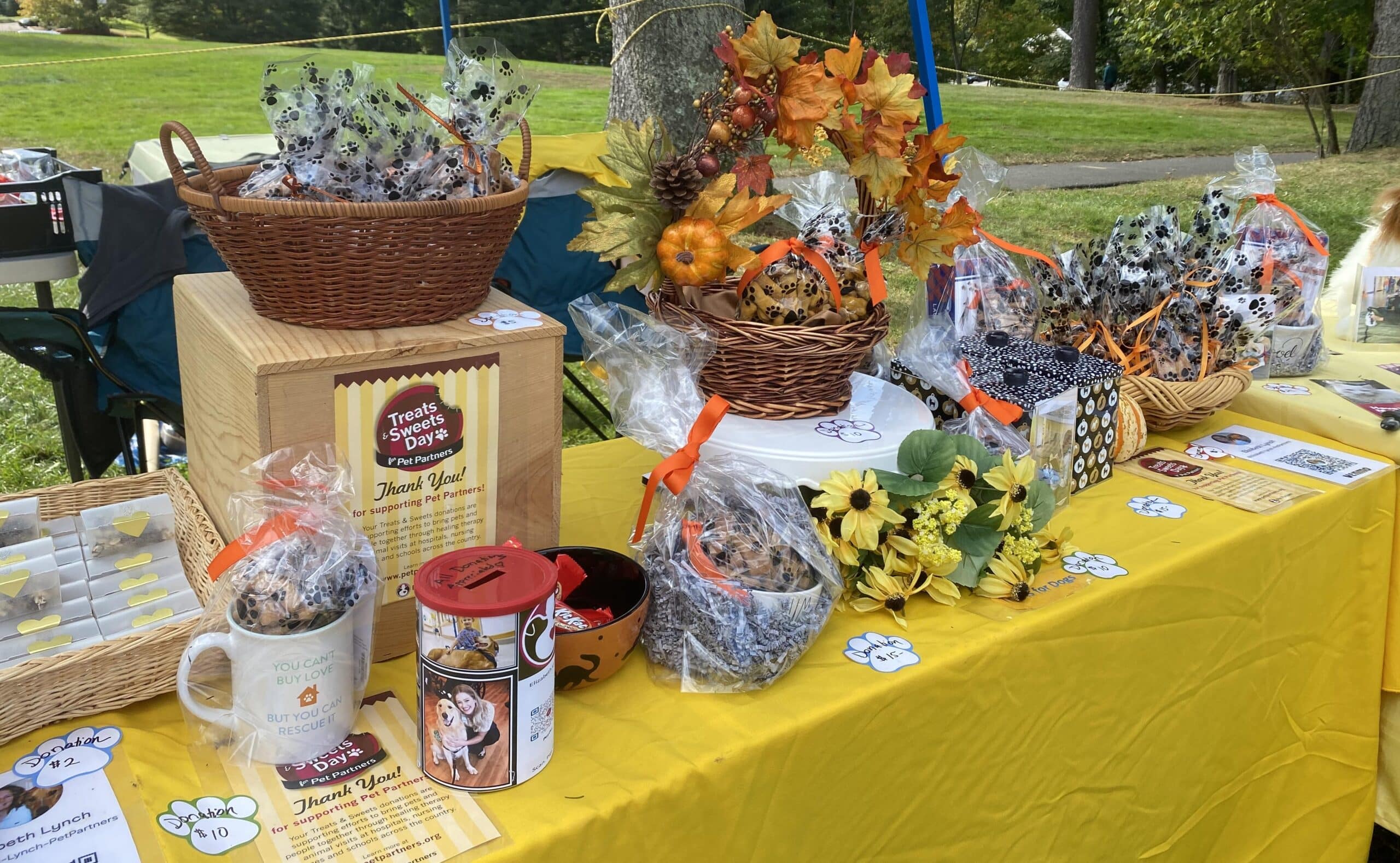 The Pet Partners bake sale table at the Westport Dog Festival.