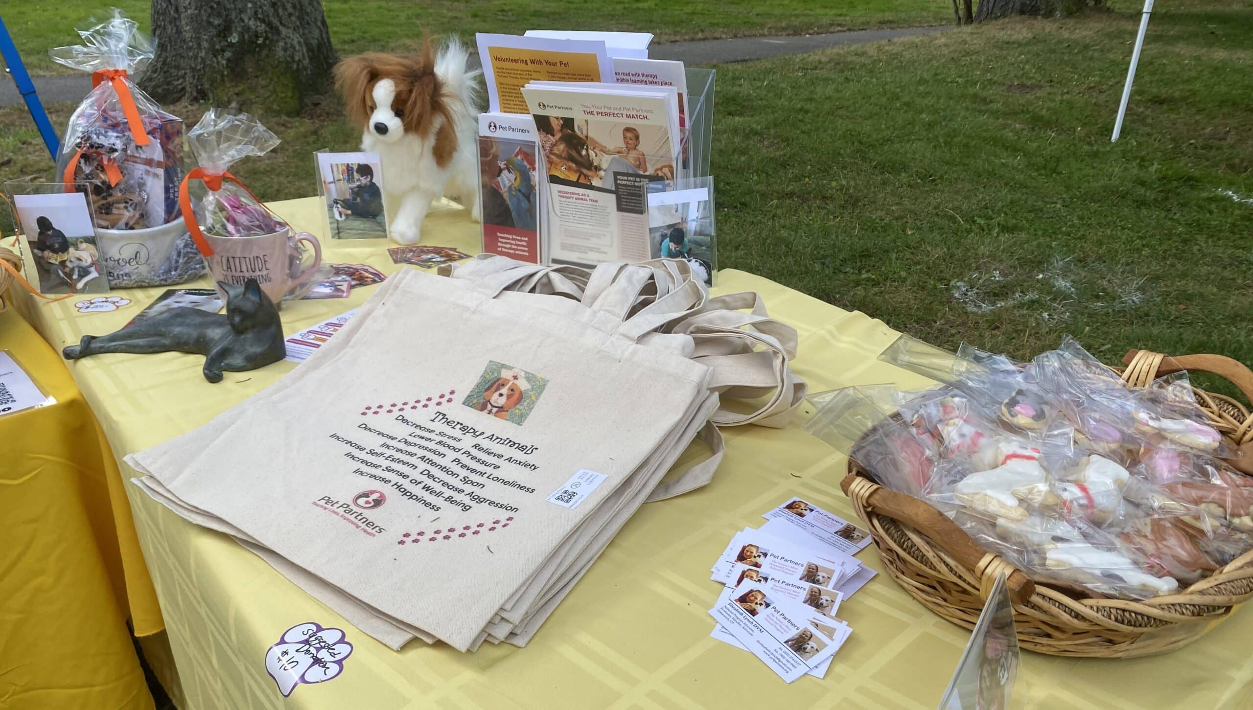 The Pet Partners table with AAI literature at the Westport Dog Festival. 