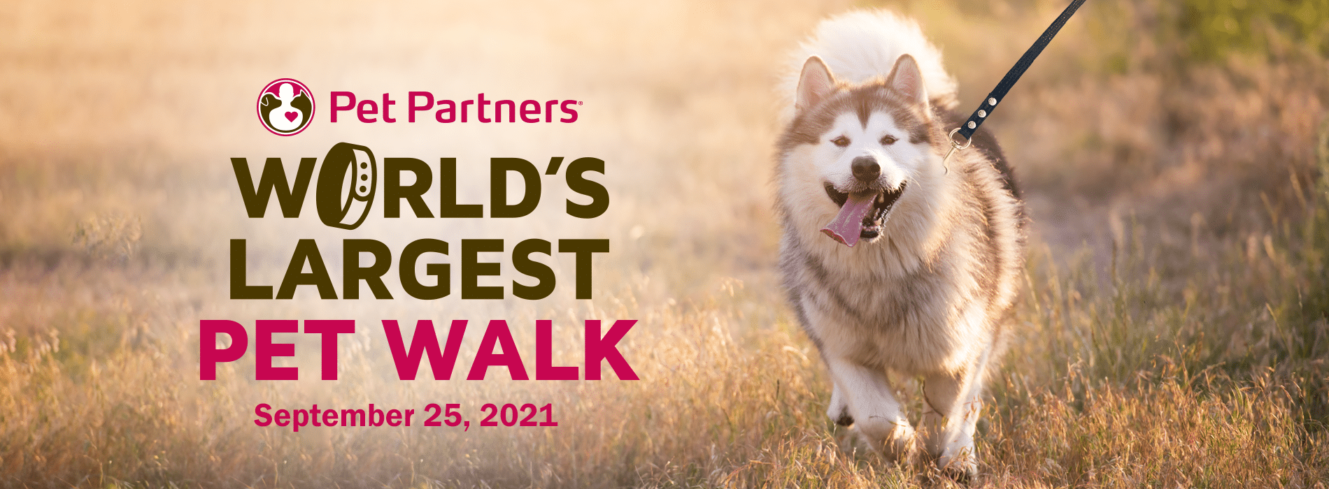 Worlds Largest Pet Walk | Pet Partners
