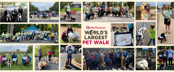 A collage of photos of people participating in the World's Largest Pet Walk