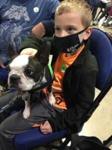 A Boston terrier therapy dog sits on a child's lap at a vaccination clinic.