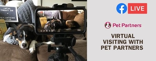 Pet Partners Facebook Live: Virtual Visits