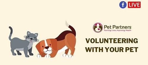 Pet Partners Facebook Live: Volunteering with Your Pet