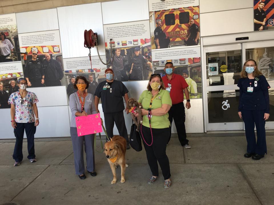 Two therapy dog teams visit with healthcare workers outside the emergency room at Crouse Hospital.