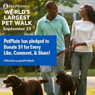 World's Largest Pet Walk: PetPlate pledged to donate $1 for every like, comment & share