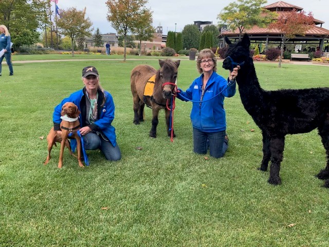 World's Largest Pet Walk participants: a woman with a viszla and another woman with a mini horse and an alpaca