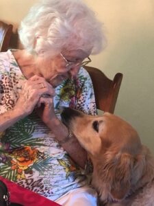 A senior adult leans down to talk to a golden retriever therapy dog, who is looking up at her with affection.