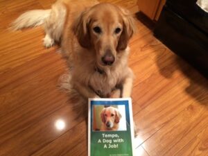 A golden retriever therapy dog lies on the floor with a book on her paws titled Tempo, A Dog with A Job!