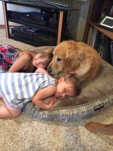 Two toddlers lie on a pet bed with a golden retriever therapy dog.