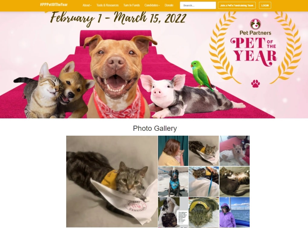 A screen shot of the Photo Gallery page of the Pet of the Year website