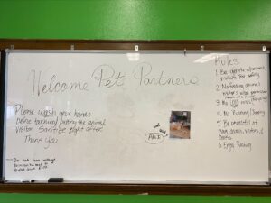 A white board that contains a variety of instructions for students having a reading visit with a therapy dog.