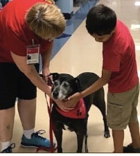 A therapy dog handler guides a student in how to pet her therapy dog as they walk down a school hallway.