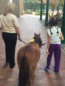 A Pet Partners handler walks her therapy miniature horse alongside a child wearing a therapeutic brace, both holding the horse's lead.