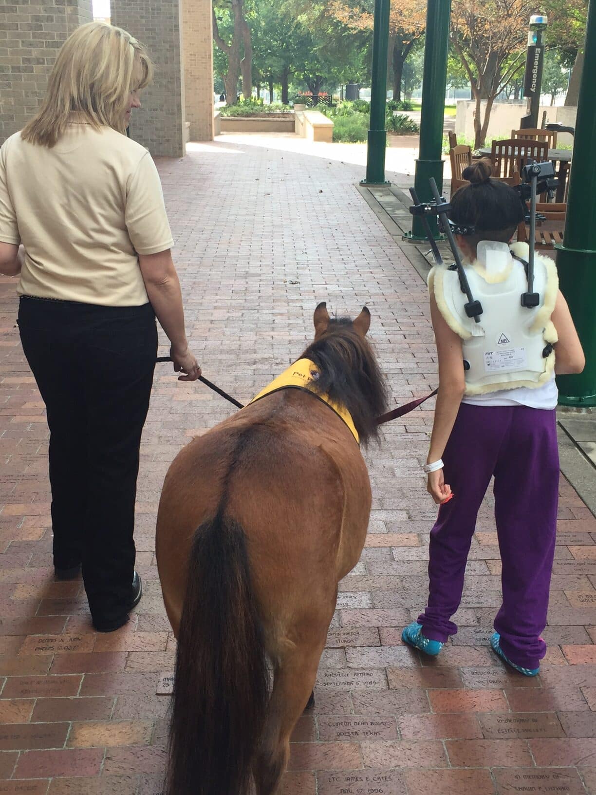 A mini therapy horse walks between the handler and a child wearing a back brace, each of them holding a lead for the horse.