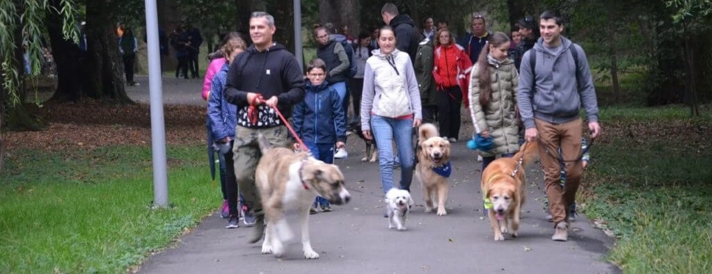 Pet Partners teams in Romania hold a Walk With Me event