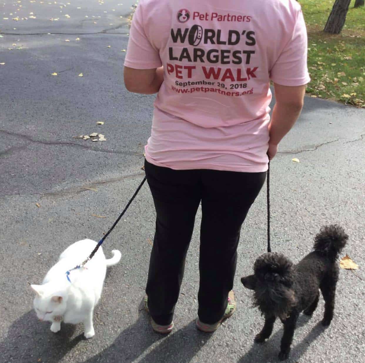 Cat and dog with handler during World's Largest Pet Walk 2018