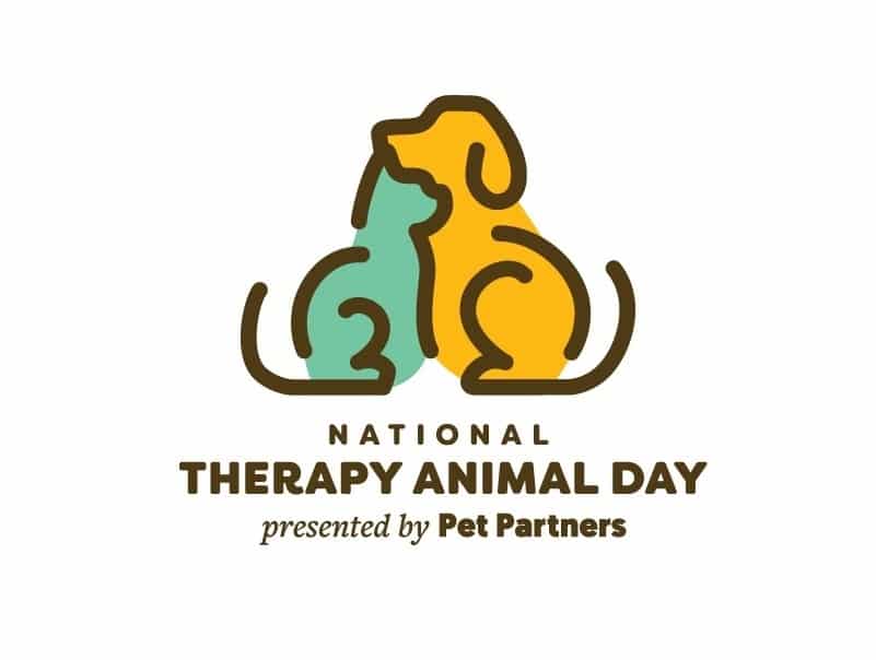 Celebrating National Therapy Animal Day