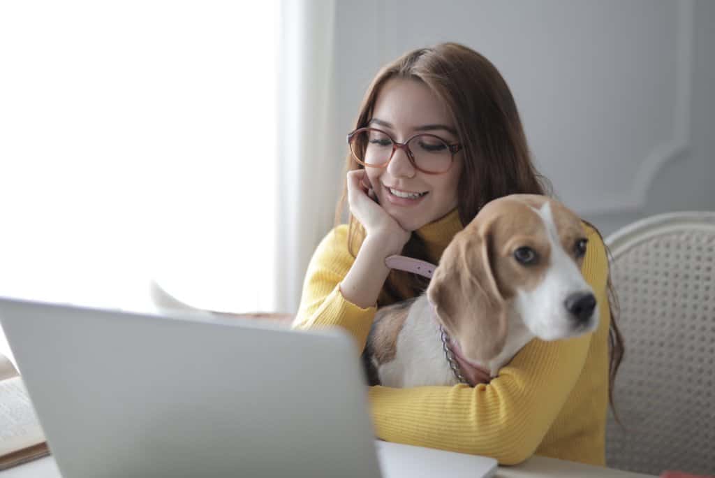 Woman with a beagle at a laptop. Photo by Andrea Piacquadio from Pexels