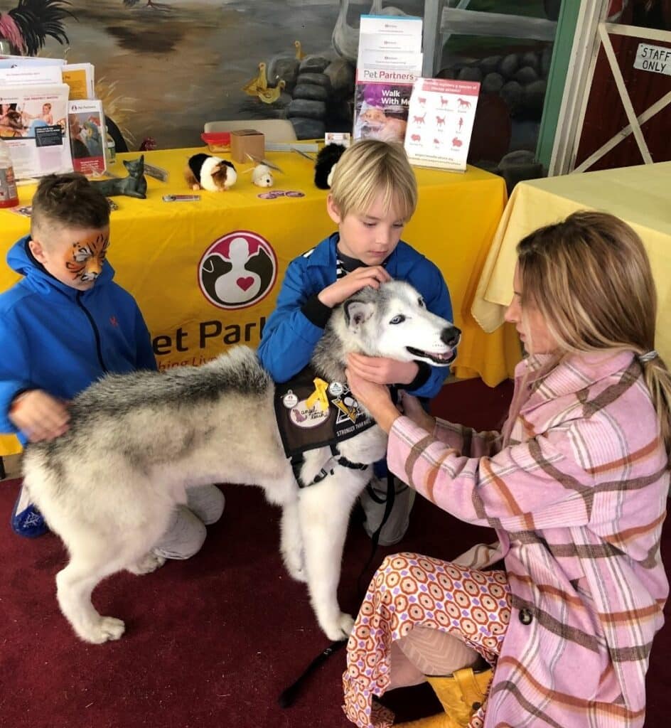 Two children pet a Siberian husky therapy dog while the dog's handler guides their interactions.