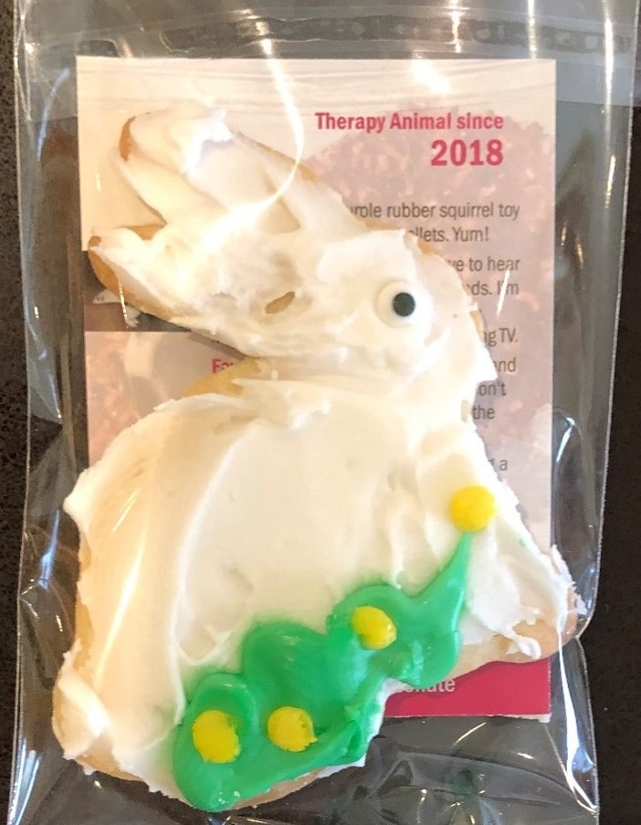 A decorated rabbit-shaped sugar cookie is in a bag with a Pet Partners trading card.