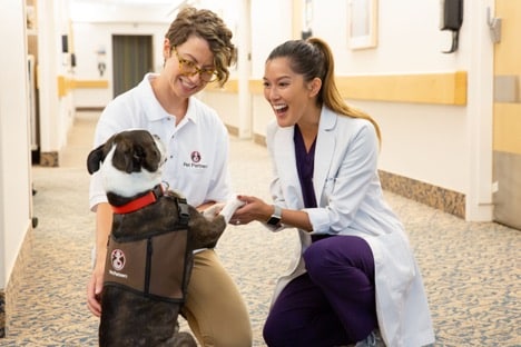 A Pet Partners handler introducing their therapy dog to a healthcare worker. The dog is standing on his back legs and the worker is holding the dog's front paws. Both people are smiling.