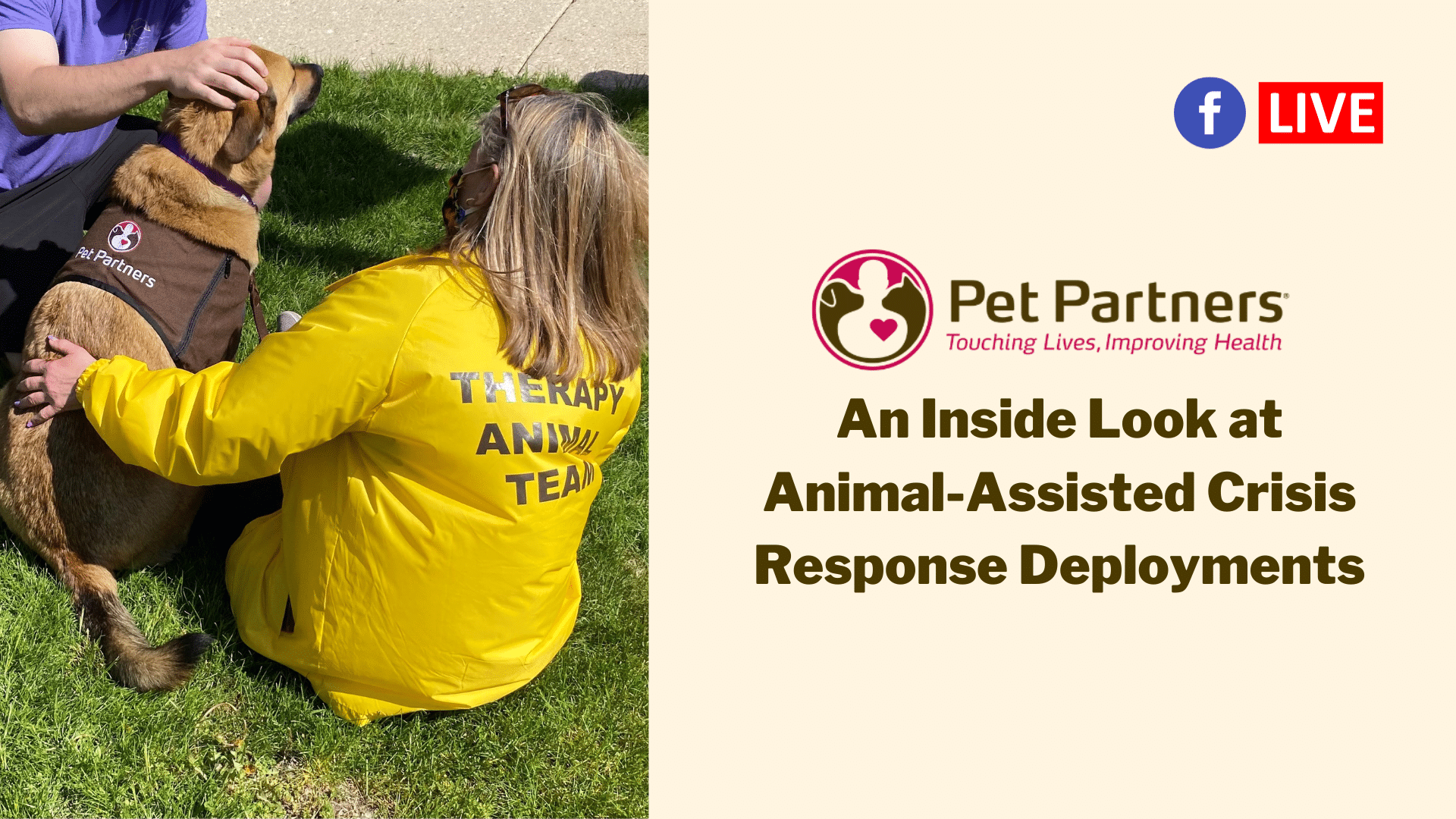 An Inside Look at Animal-Assisted Crisis Response Deployment