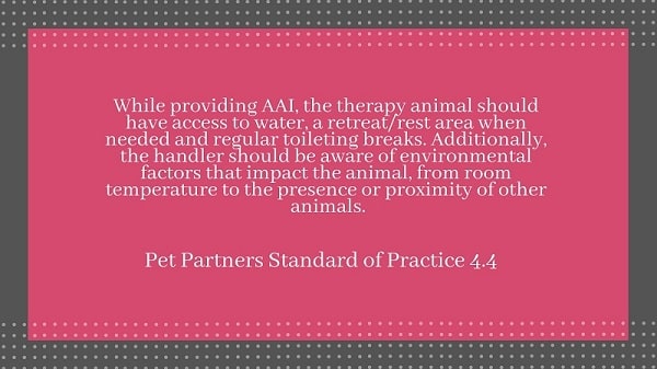 Screen shot of quoted text: While providing AAI, the therapy animal should have access to water, a retreat/rest area when needed, and regular toileting breaks. Additionally, the handler should be aware of environmental factors that impact the animal, from room temperature to the presence or proximity of other animals. --Pet Partners Standard of Practice 4.4