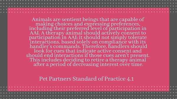 Screen shot of quoted text: Animals are sentient beings that are capable of making choices and expressing preferences, including their preferred level of participation in AAI. A therapy animal should actively consent to participation in AAI: it should not simply tolerate interactions, based solely on compliance with its handler's commands. Therefore, handlers should look for cues that indicate active consent and should end interactions if those cues aren't present. This includes deciding to retire a therapy animal after a period of decreasing interest over time. -Pet Partners Standard of Practice 4.1