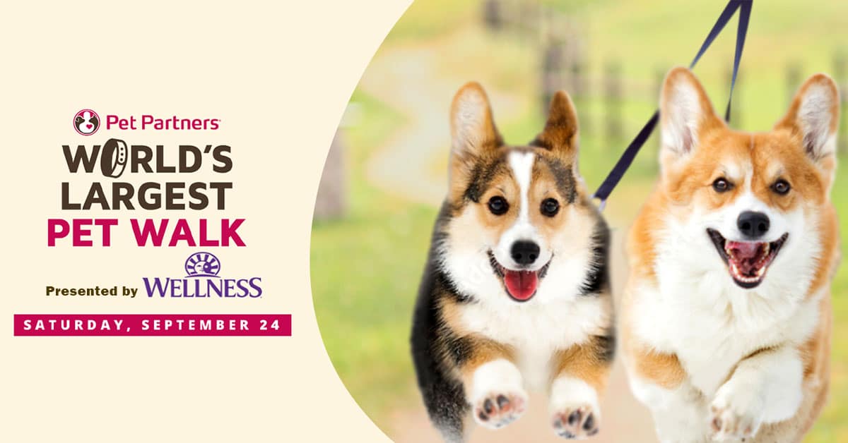 Going the Extra Mile: The World’s Largest Pet Walk 2022