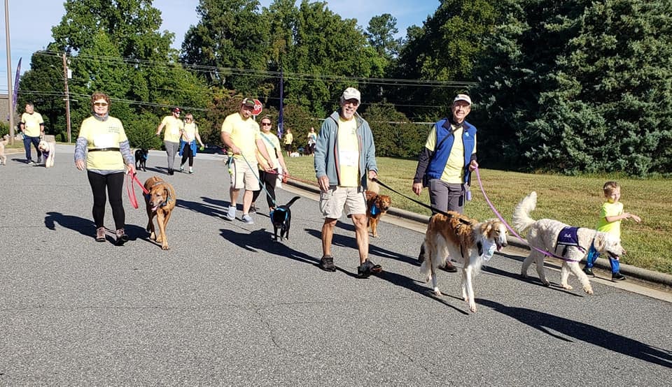 A group of people wearing World's Largest Pet Walk walker bibs walks along a street with their dogs.
