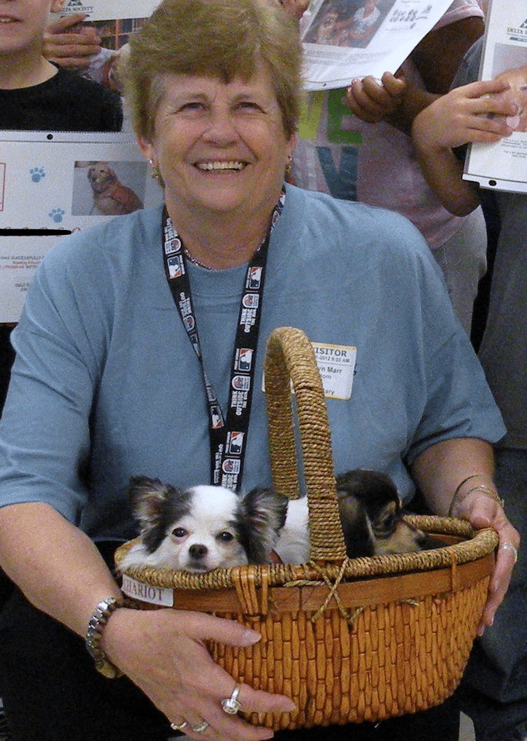 A smiling woman holds a basket containing a long-haired chihuahua therapy dog.