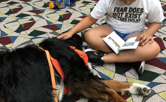 A child sits cross-legged on the floor reading a book to a Bernese mountain dog therapy dog who is lying in the floor in front of the child.