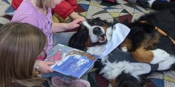 Several small children pet a Bernese mountain dog therapy dog who is lying on the floor in front of them with a happy expression, while they prepare to read from a picture book.